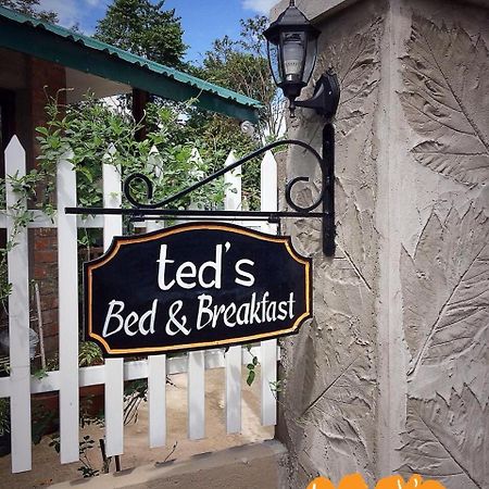 Ted'S Bed And Breakfast LAGUNA 외부 사진