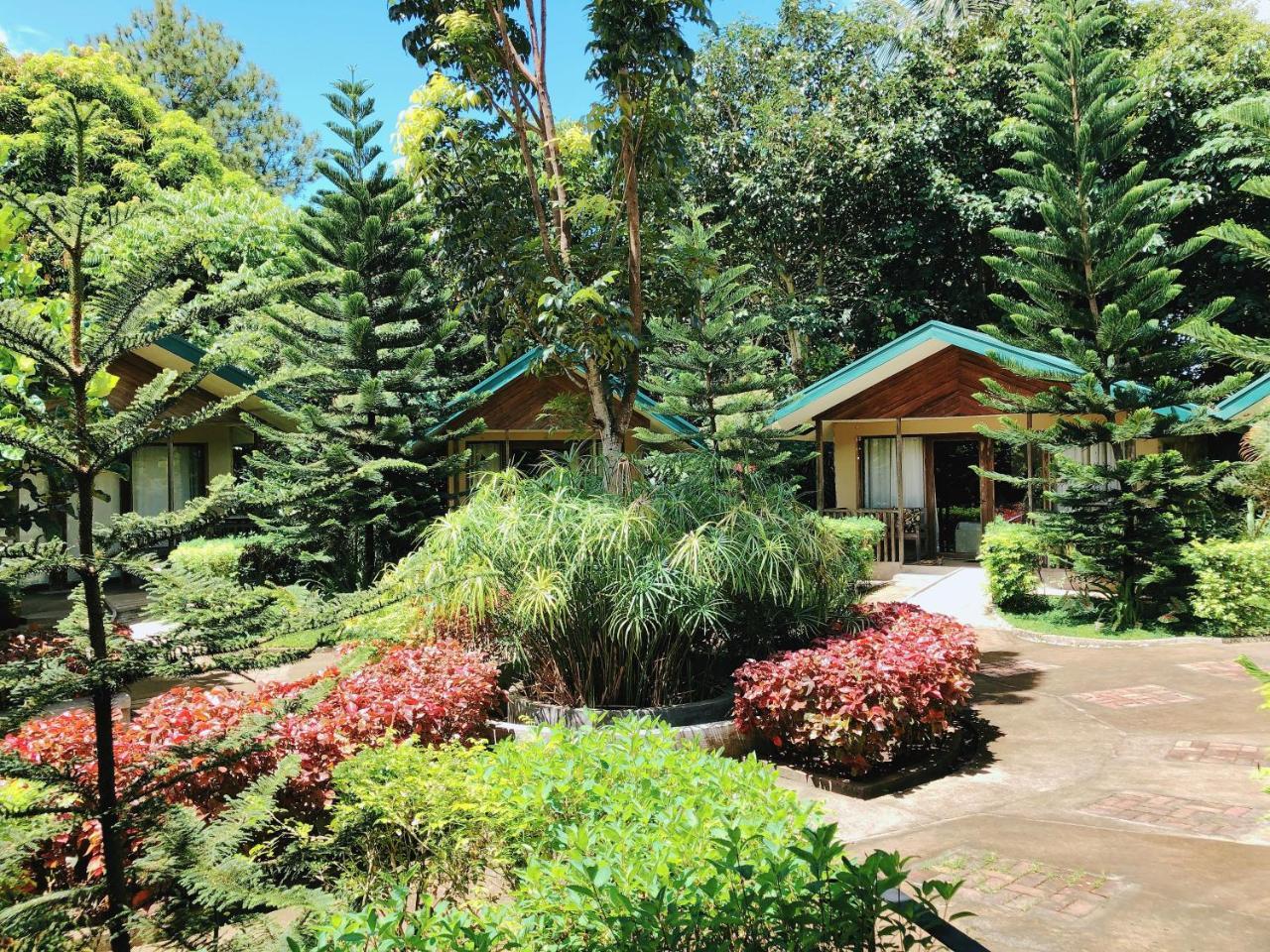 Ted'S Bed And Breakfast LAGUNA 외부 사진